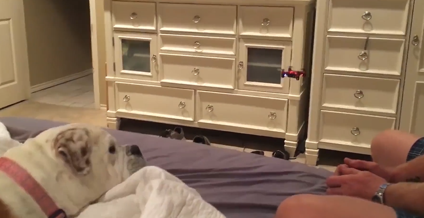 无人机炸机瞬间看着都疼